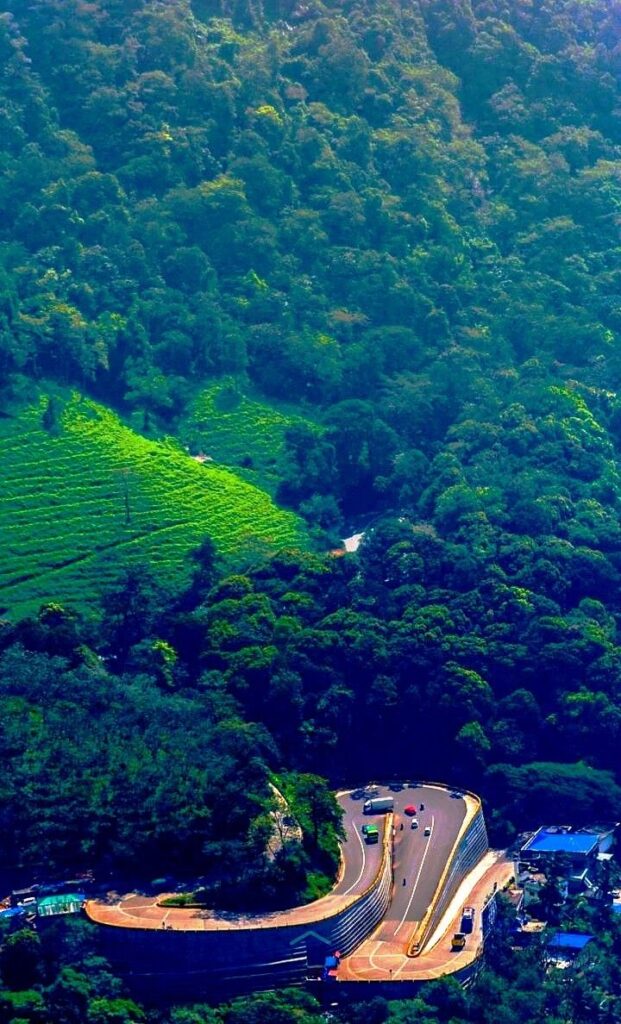 12d1a3e7fba9cb6f8aa8645062bd9578