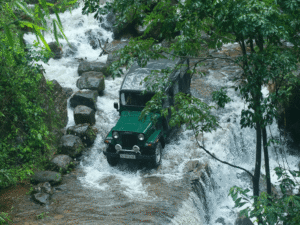 Home o53y1kyyr2h15soyk6qyjvs49c